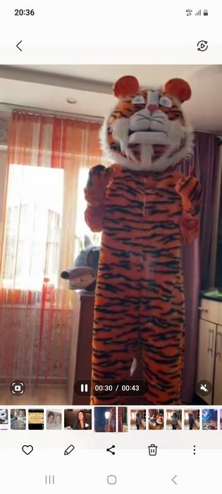 Продам  ростовой костюм