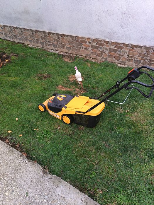 Електрическа косачка