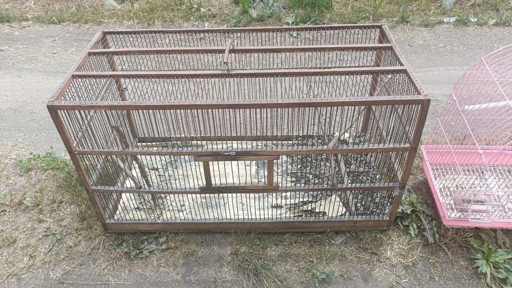 Клетки ловушки для птиц