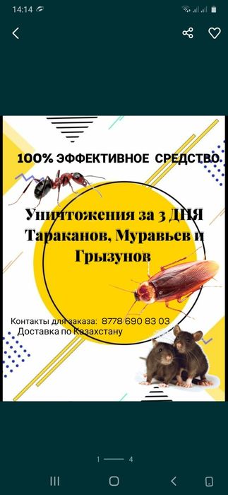 Новое  средство от тараканов прусаков
