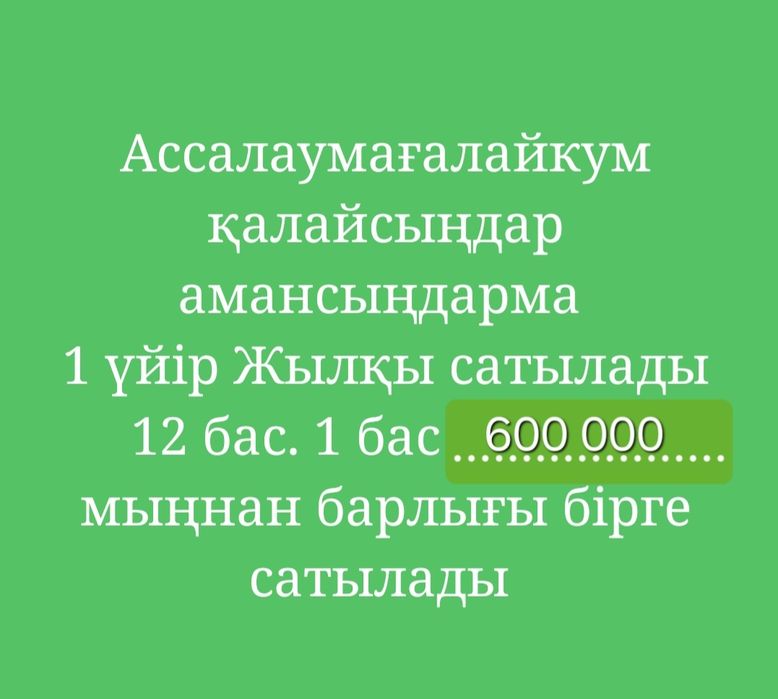 Жылқы сатылымдаа