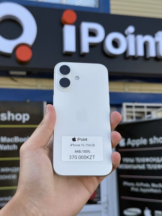 iPhone 16 256GB 100%