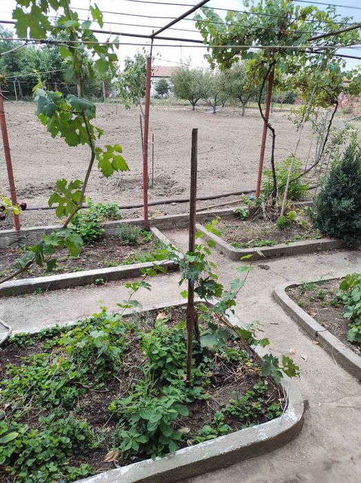 Продава се Къща в с. Каменец, Област Плевен - 100 кв.м за 203 €/кв.м - Снимка #11