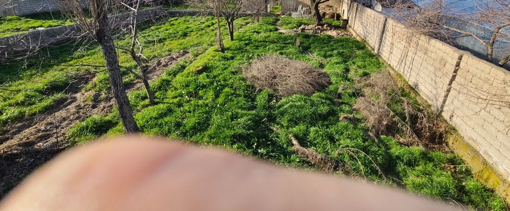 Yer sotiladi 3.5 sotix tez sotish