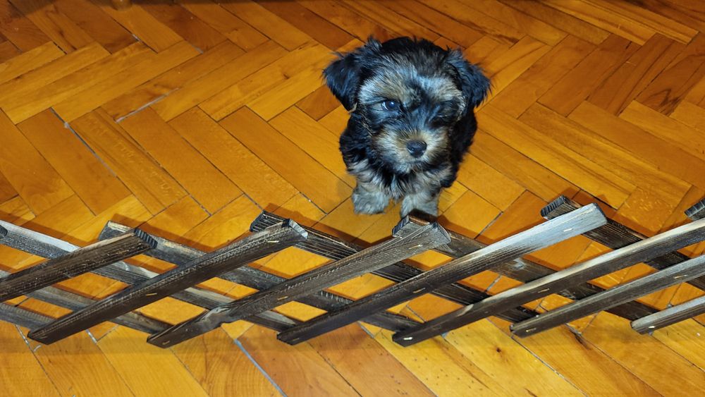 Дървена разтегателна решетка / декоративна преграда — масив, стабилна