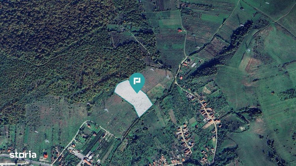 Teren fâneaţă lângă pădure - Hunedoara