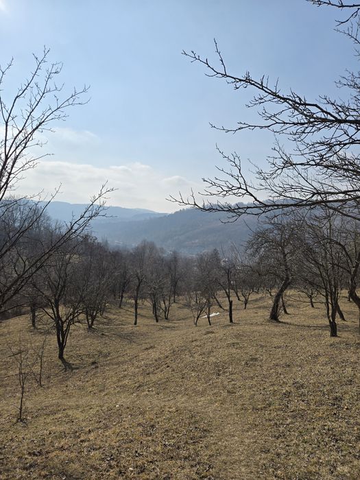 Teren munte Moroeni - Sinaia - in Rate