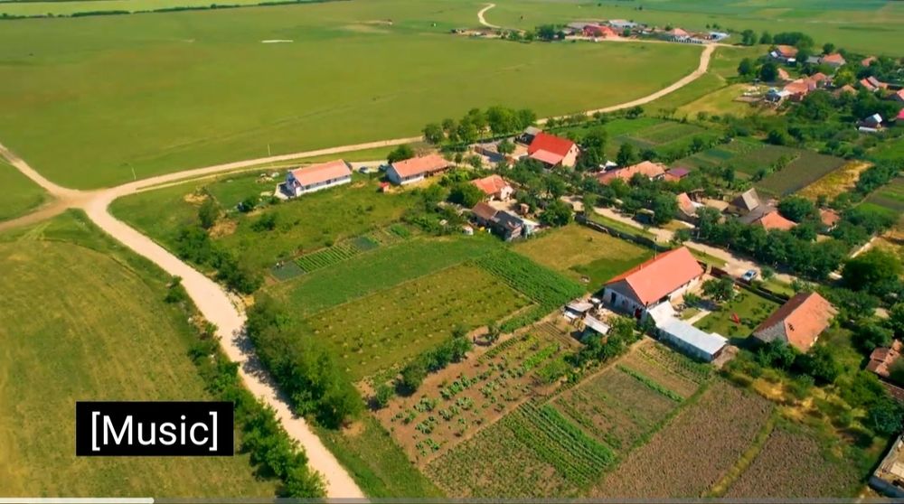 Loc de casă intravilan – Felnac | 1440 mp | Utilități la stradă - Vedere 5
