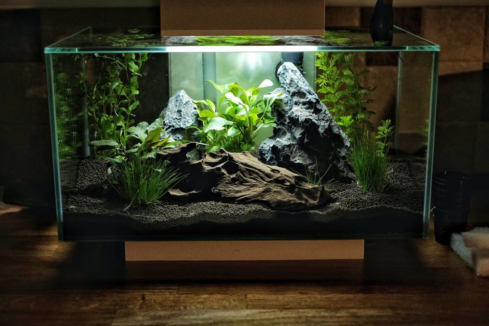 Аквариум новый fluval