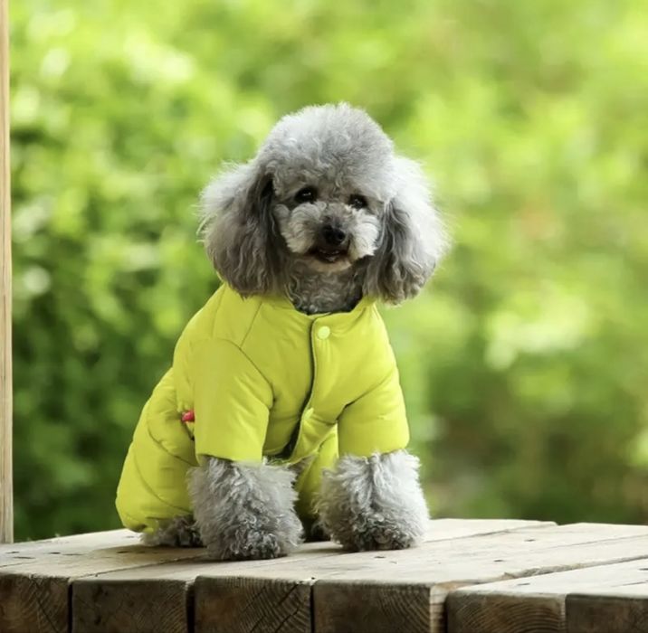 Дрехи, играчки и аксесоари за кучета и котки