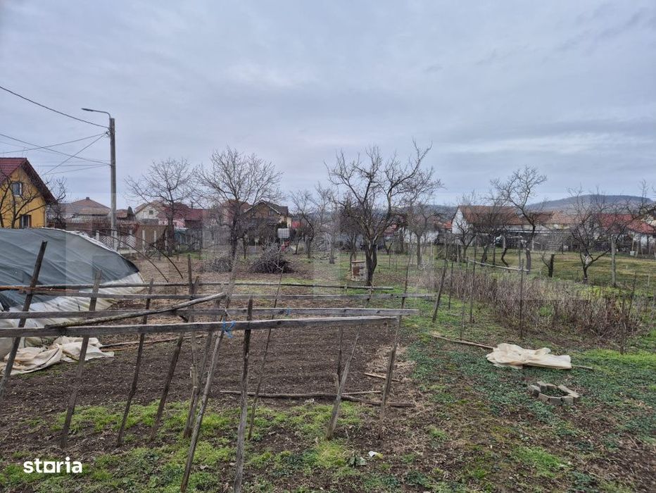 Teren 1651 mp cu casa si anexe – oportunitate investitie, zona Barab