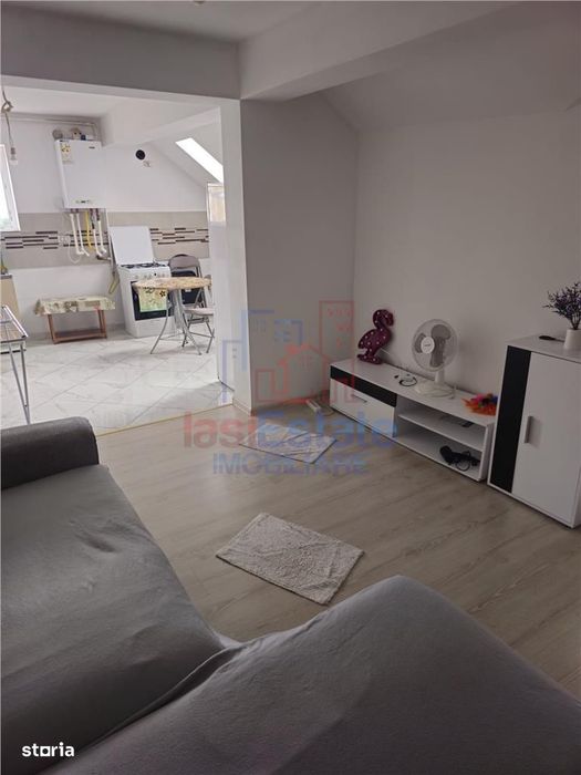 Apartament 2 Camere Capat Pacurari