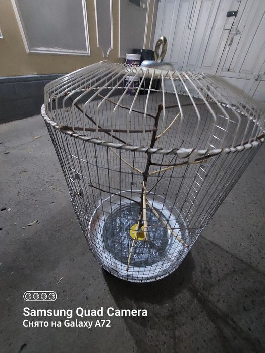 Qafas kanareka totilar uchun