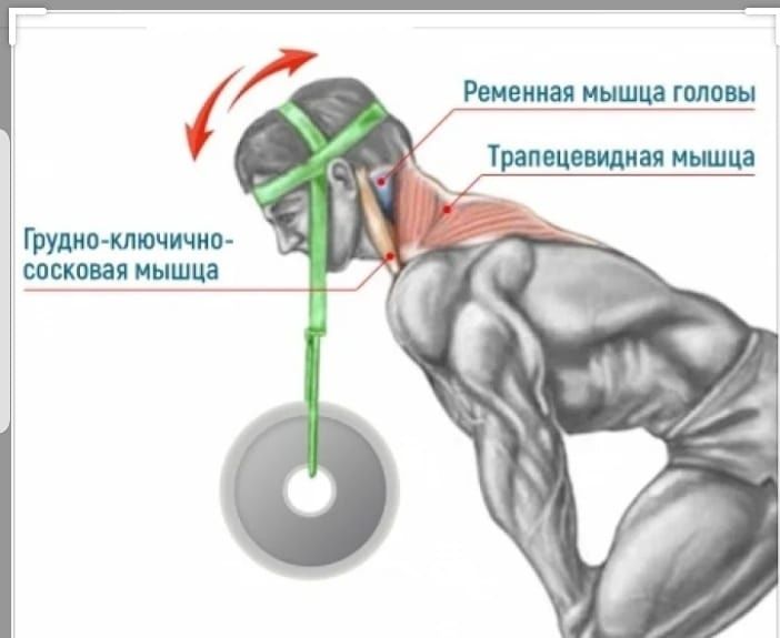 Головная лямка (кожаная) для тренировки мышц шеи 