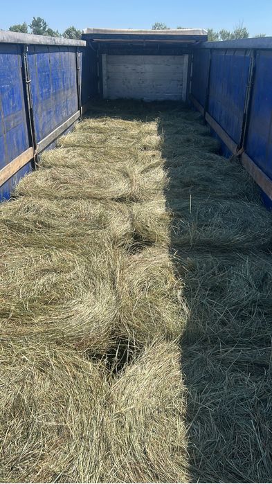 Продаю сено в рулонах разнотравье
