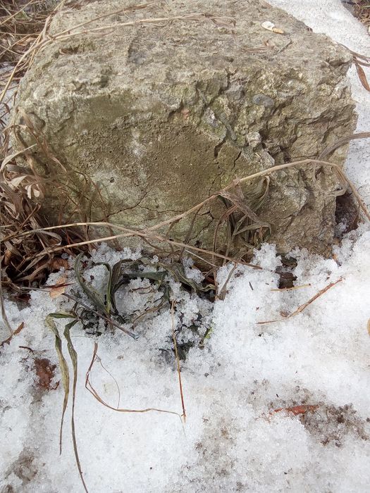 Блок фбс продам .