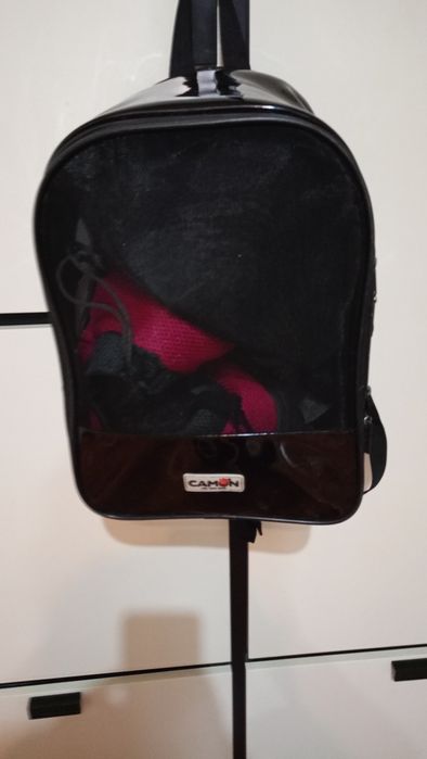 Animale de companie  transport