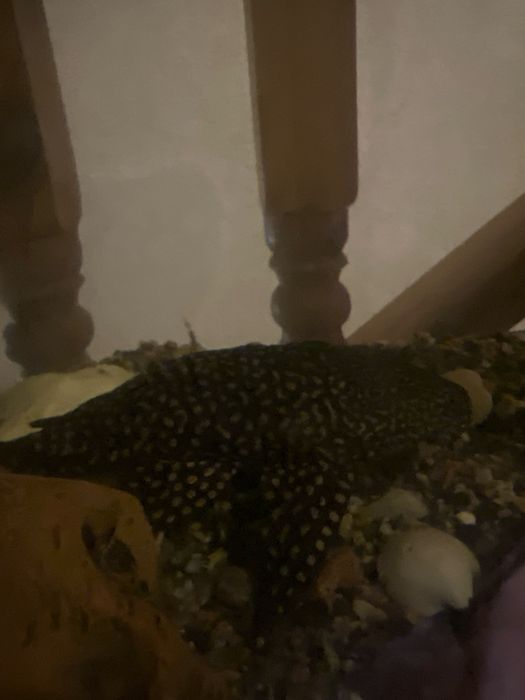 Аквариум 220 литров с тумбой