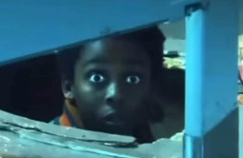 Щенки в добрые руки