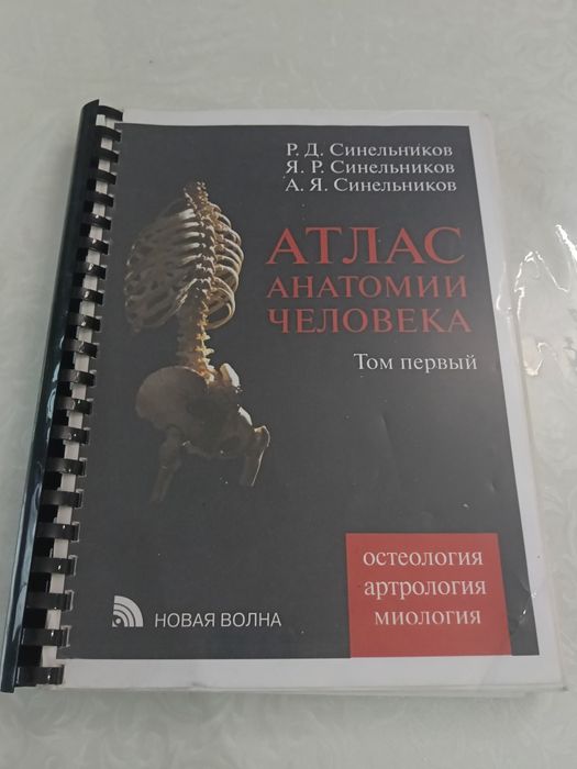 Продам атлас анатомии
