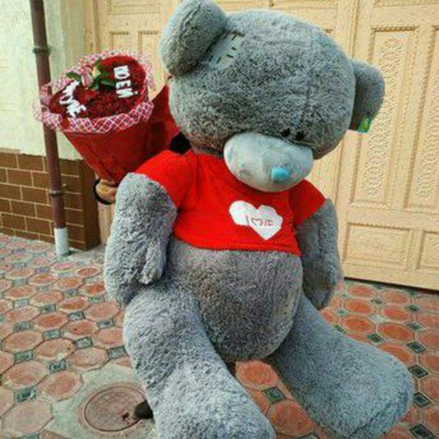 Teddy teddi va panda