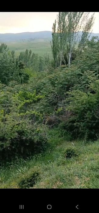 Ер сотилада Бостонлик туманида