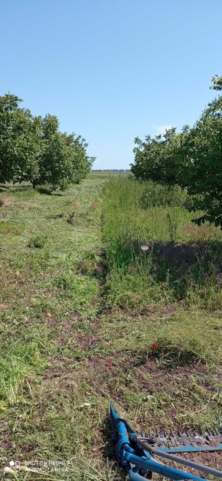 Косене  на трева и други градинарски  услуги