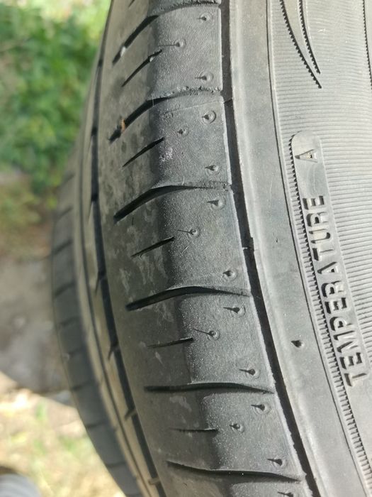 Продам летние шины NEXEN
