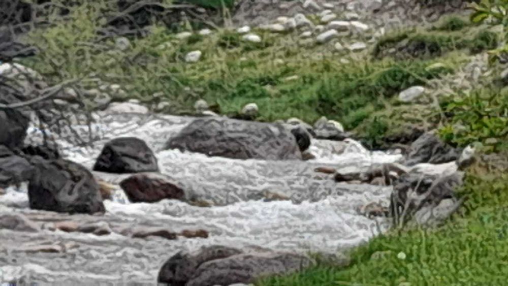 Срочно продается фазенда