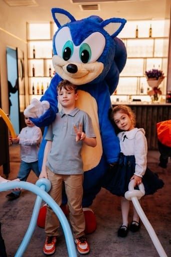 Mascote delux adult Sonic ariciul desene animate