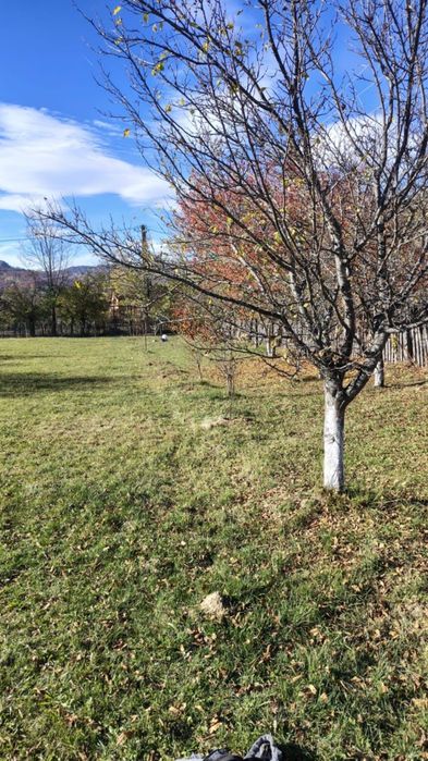 Teren intravilan cu căbănuță valea Doftanei, cheile Doftanei