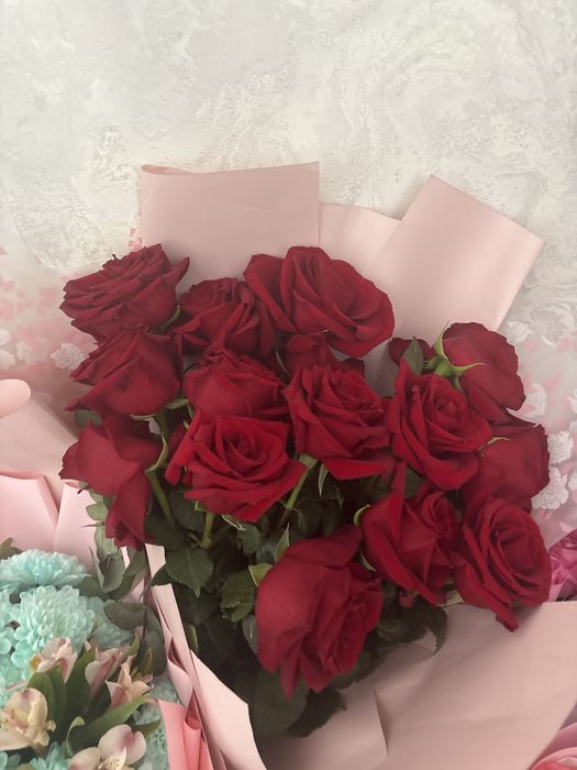 цветы свежый арзан багада сатылады