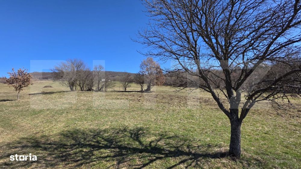 Teren de vanzare de 8,567MP in zona: Tarpiului