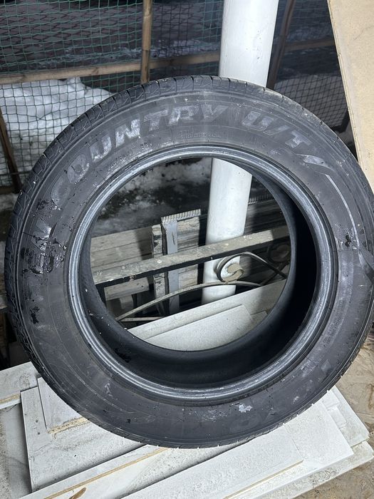 Продам шины Toyo