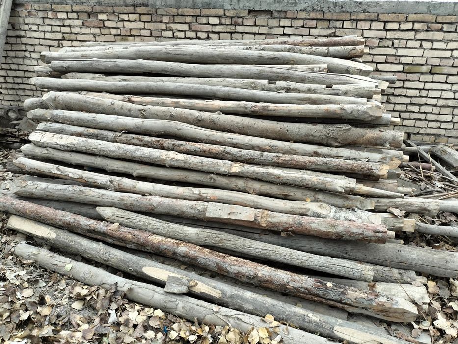 cho'p  bolor qalama o'rtacha 3 m