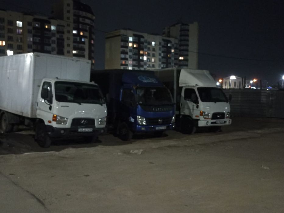 Вывоз мусора. Вывоз веток деревьев