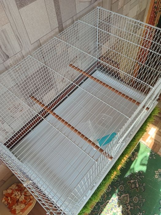 Клетка для птиц.