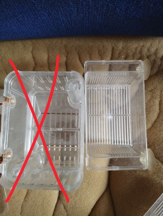 Отсадники для аквариумных рыбок