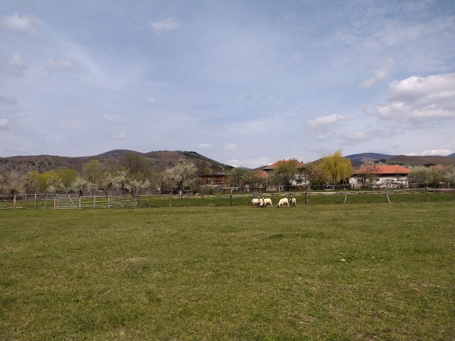 Teren intravilan 3700 mp curent, asfalt, priveliște de vis și liniște