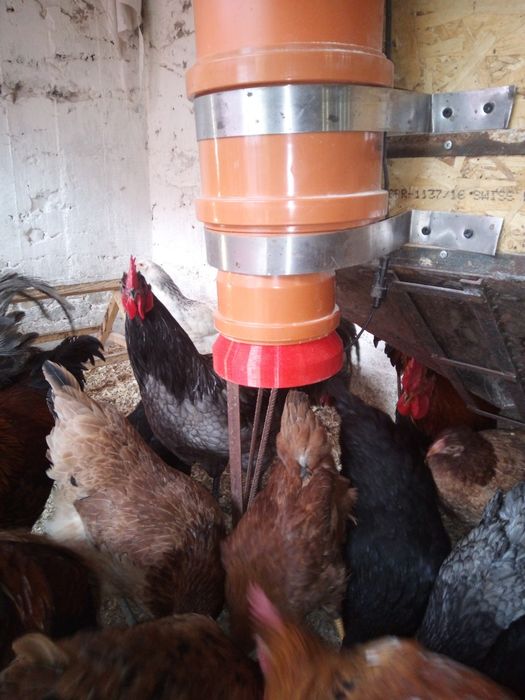 Hrănitor automat( H-3)Pentru Pui, găini,curcani, rațe