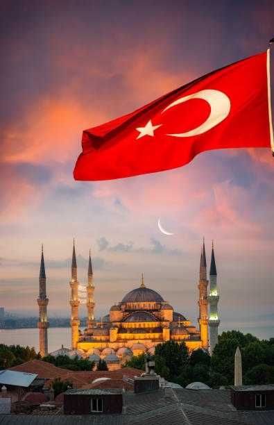 Обучение онлайн турецкий язык с нуля.