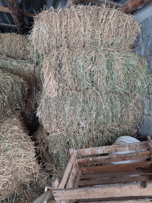 Жонышка прес Сатылады