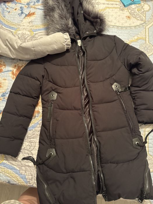 Отдам бесплатно