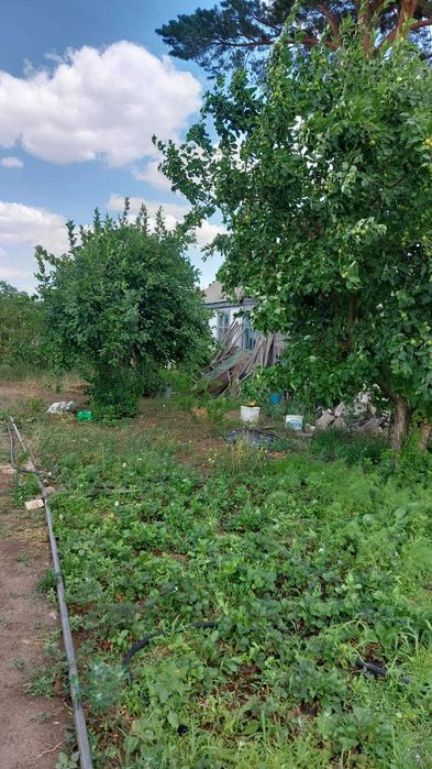 продам дачу сад Металлург