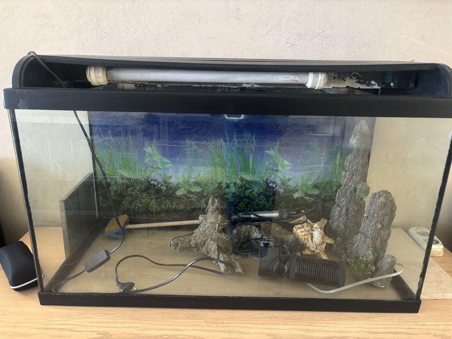 Аквариум размер 80×35×50 см с комплектацией