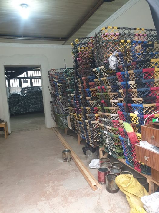 Беланчиглар оптим