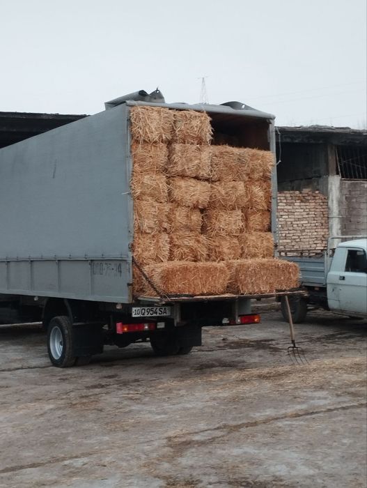 Somon pres bor. Yetkazib berish ham bor