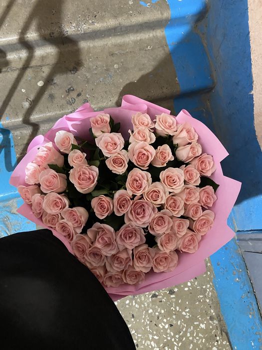 Роза розывые розы