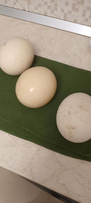 Mai multe detalii la nr de telefon