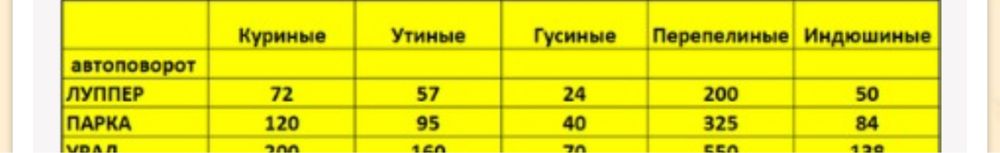 Инкубатор Норма (парка). Блиц